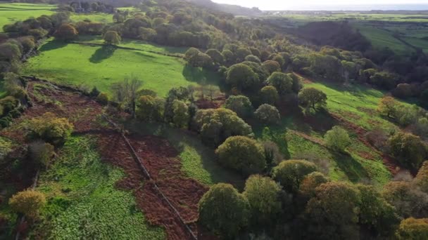 Erstaunliche Luftaufnahme Der Schönen Grünen Hügel Mit Üppiger Vegetation Tagsüber — Stockvideo