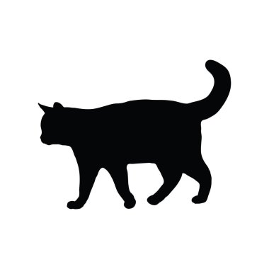 Cadılar Bayramı siyah kedi silueti