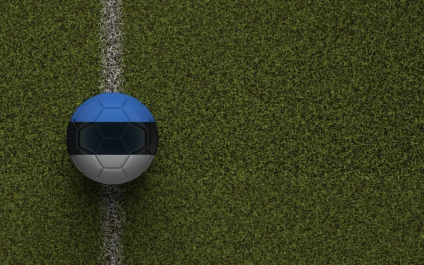 Estónia bandeira de futebol em um campo de futebol verde. Renderização 3D — Fotografia de Stock