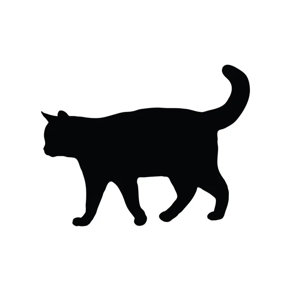 Halloween black cat silhouette — Stock Photo, Image