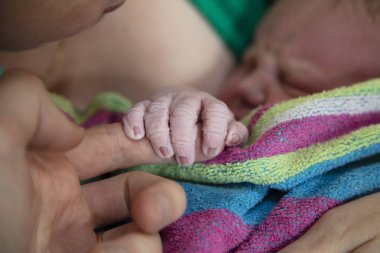 A newborn baby holds onto their fathers finger after being born clipart