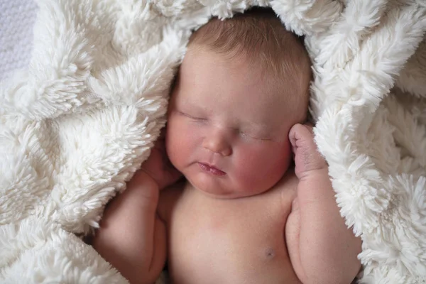 Ένα όμορφο νεογέννητο μωρό κοιμάται σε μια γούνα κουβέρτα — Φωτογραφία Αρχείου