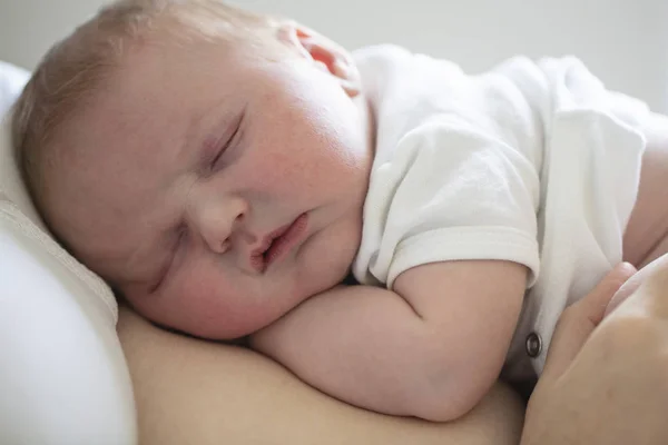 An adorable newborn baby sleeping on their mum — Stock Photo, Image