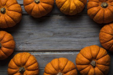 Mini balkabakları ahşap bir arka planda dizilmiş.