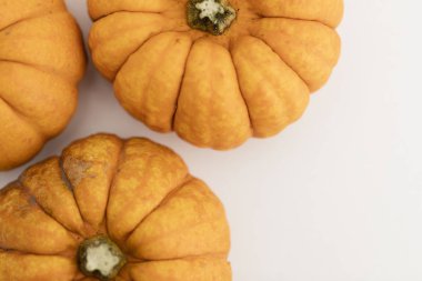 sonbahar mini kabaklar 