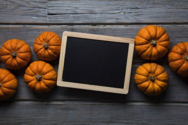 Mini balkabakları ahşap bir arka planda dizilmiş.