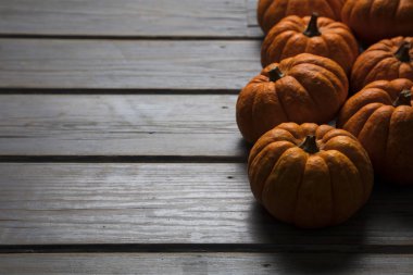 Mini balkabakları ahşap bir arka planda dizilmiş.