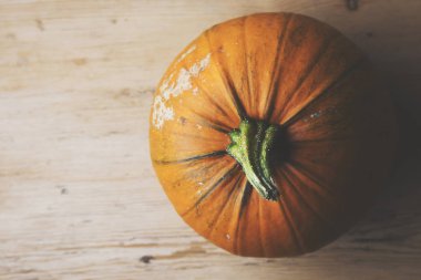 Sonbahar Cadılar Bayramı Balkabağı Sade bir arka planda