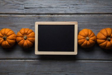 Mini balkabakları ahşap bir arka planda dizilmiş.