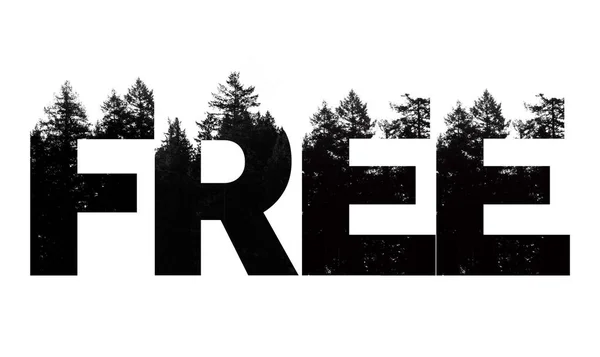 Mot gratuit fabriqué à partir de lettres de la cime des arbres en plein air — Photo