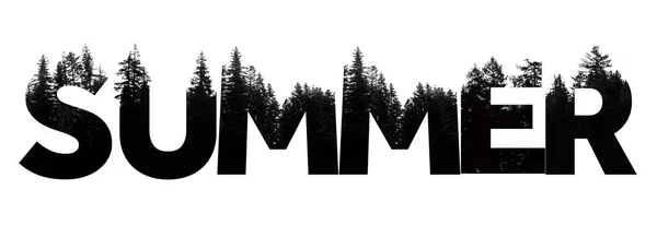 Summer word made from outdoor wilderness treetop lettering — ストック写真