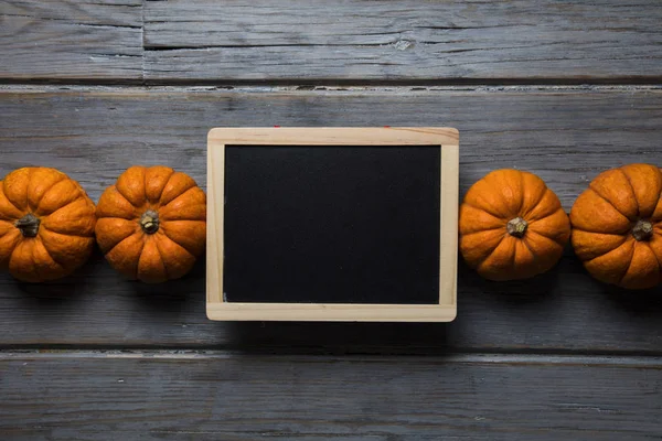 Mini balkabakları ahşap bir arka planda dizilmiş.