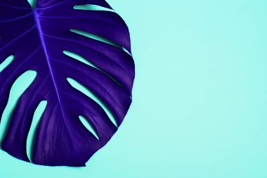 Tropikal palmiye yaprağı şık, parlak renkli arka plan