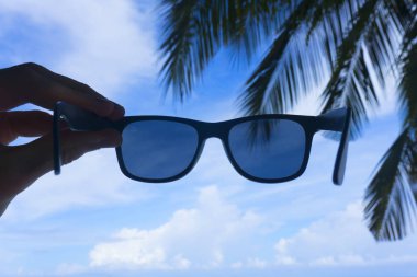 Palmiye ağacının arka planında yaz gözlüğü