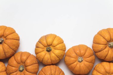 Mini minnoş balkabağı şenlik arka planı