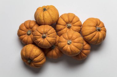 Mini minnoş balkabağı şenlik arka planı