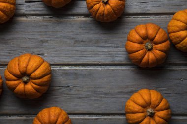 Mini balkabakları ahşap bir arka planda dizilmiş.