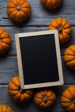 Mini balkabakları ahşap bir arka planda dizilmiş.