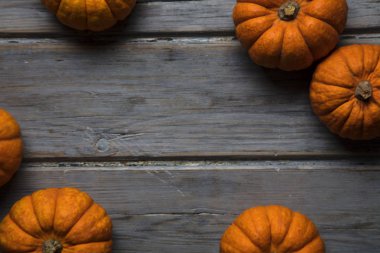 Mini balkabakları ahşap bir arka planda dizilmiş.