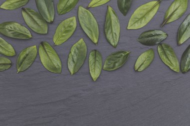 Arkaplanda yeşil yapraklar var. Doğa konsepti