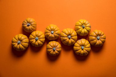 Parlak turuncu arka planda küçük balkabakları. Cadılar Bayramı ve teşekkürler