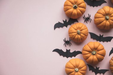 Pastel pembe arka planda Cadılar Bayramı süslemeleri. Yat yere, pompa.