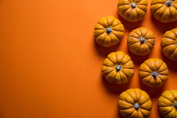 Pequenas abóboras em um contexto laranja brilhante. Halloween e obrigado — Fotografia de Stock