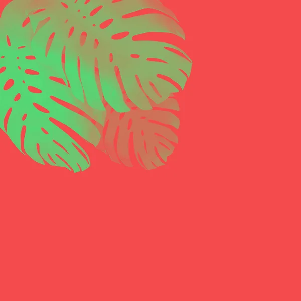 Tropical palm tree monstera leaf background. Abstract colourful — ストック写真