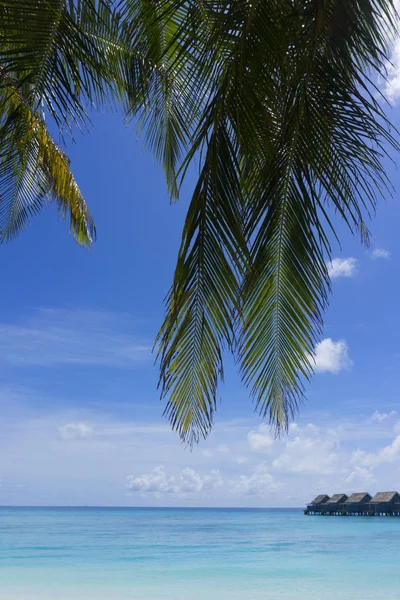 Tropisch strand in de Malediven — Stockfoto