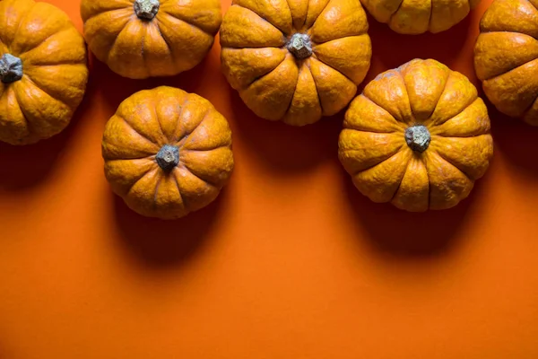 Pequenas abóboras em um contexto laranja brilhante. Halloween e obrigado — Fotografia de Stock