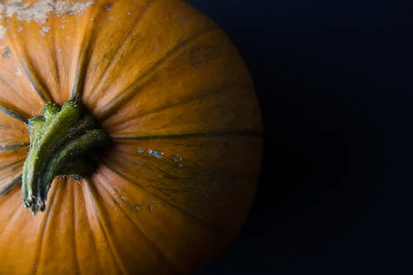 Abóbora de Halloween de outono contra um fundo liso — Fotografia de Stock