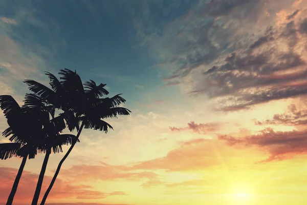 Tropische palmboom silhouet tegen zonsondergang hemel. 3d destructie — Stockfoto