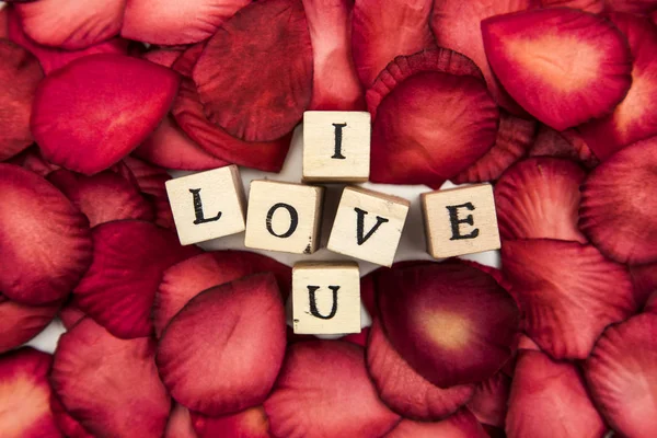 Red rose petals background with romantic i love you message — Stock Photo, Image