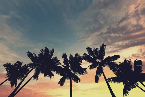 Tropical palm tree silhouette against sunset sky. 3d rendering — ストック写真