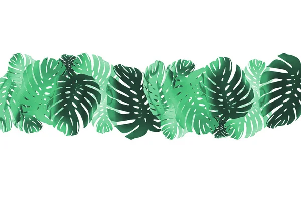 Palmier tropical monstera fond de feuille. Abstrait coloré — Photo