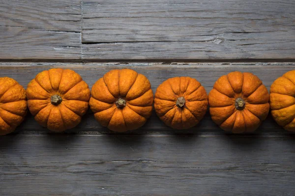 Mini balkabakları ahşap bir arka planda dizilmiş.