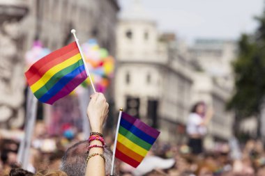 Bir seyirci Lgbt gey yürüyüşünde gey gökkuşağı bayrağı sallıyor 