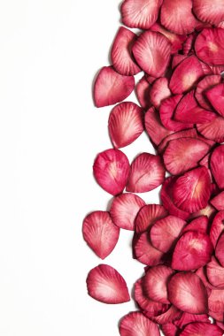 Beyaz arka planda kırmızı gül yaprakları. Romantik sevgililer günü