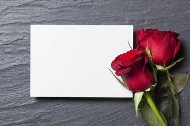 Mesajın için beyaz kartlı kırmızı gül.