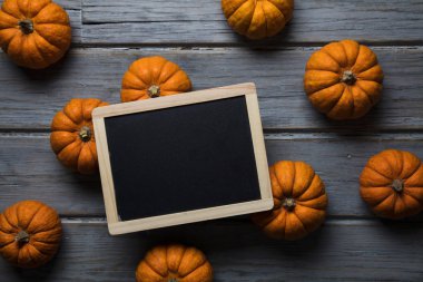 Mini balkabakları ahşap bir arka planda dizilmiş.