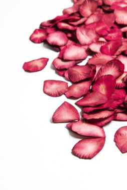 Beyaz arka planda kırmızı gül yaprakları. Romantik sevgililer günü