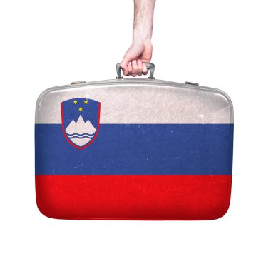 Vintage deri bavul Slovenya bayrağı.