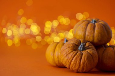 Cadılar Bayramı balkabakları parlak turuncu renkli ışıklara karşı bulanık