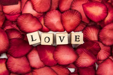 Romantik aşk mesajlı kırmızı gül yaprakları.