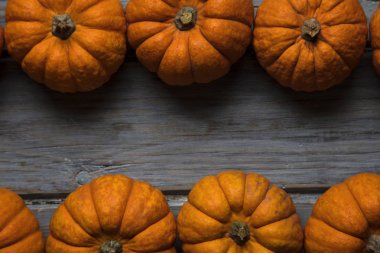 Mini balkabakları ahşap bir arka planda dizilmiş.