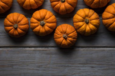 Mini balkabakları ahşap bir arka planda dizilmiş.