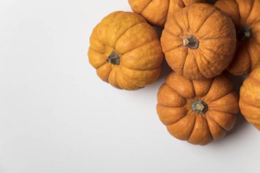 Mini minnoş balkabağı şenlik arka planı