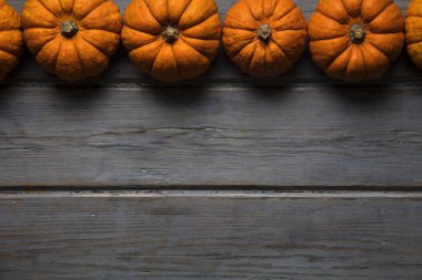 Mini balkabakları ahşap bir arka planda dizilmiş.