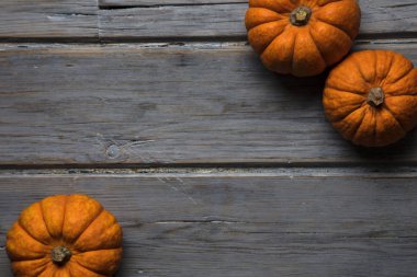 Mini balkabakları ahşap bir arka planda dizilmiş.