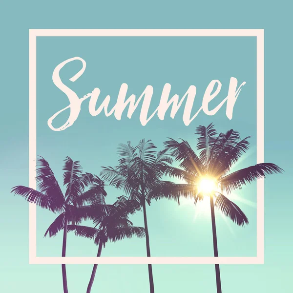 Mensaje de verano silueta de palmera tropical contra el sol brillante —  Fotos de Stock